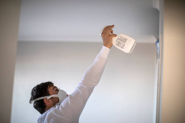Best Emergency Mold Remediation in Lowry Crossing, TX