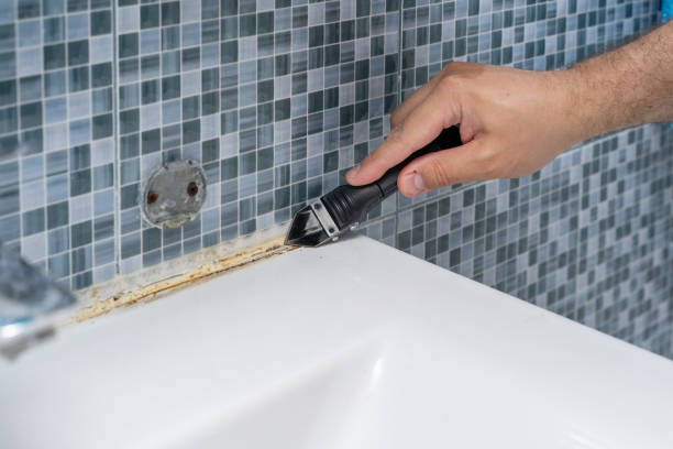 Best Residential Mold Remediation in Lowry Crossing, TX